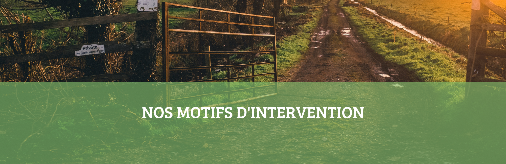 MOTIFS DE REMPLACEMENT