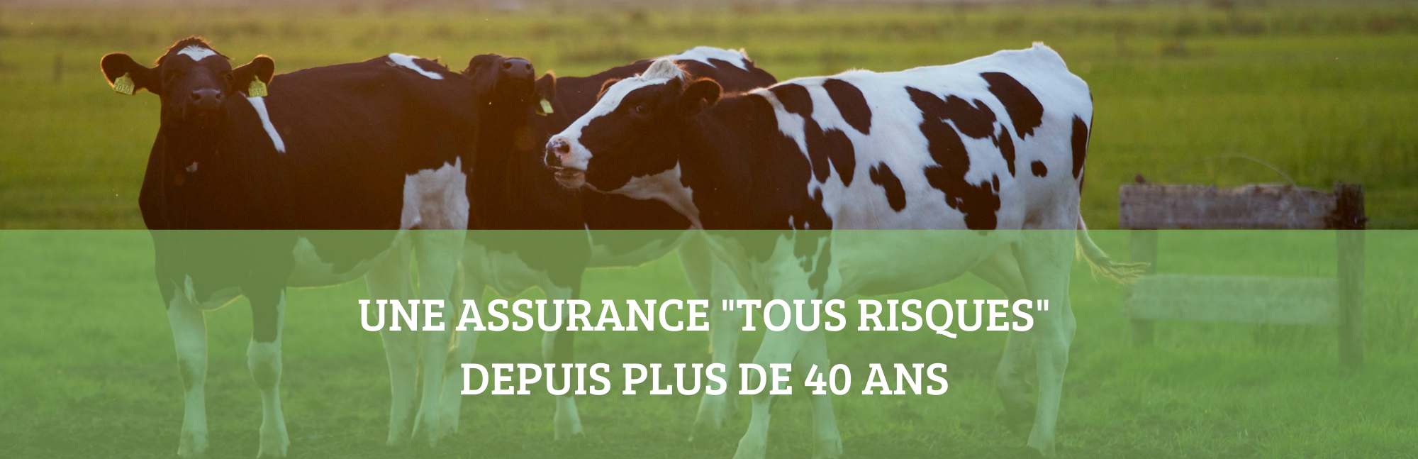 NOTRE HISTOIRE